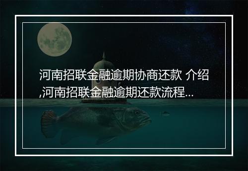 河南招联金融逾期协商还款 介绍,河南招联金融逾期还款流程解析