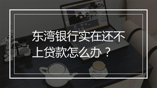 东湾银行实在还不上贷款怎么办？