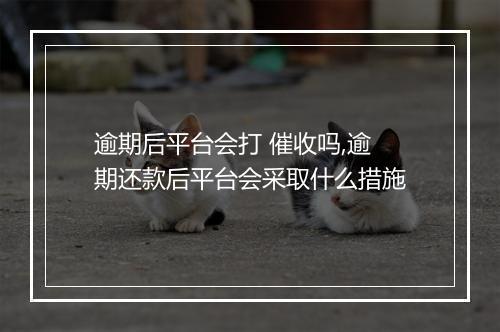 逾期后平台会打 催收吗,逾期还款后平台会采取什么措施