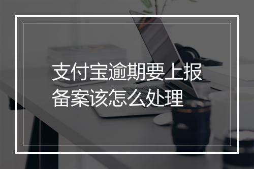 支付宝逾期要上报备案该怎么处理