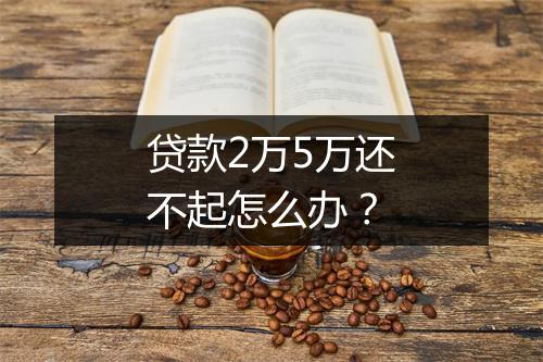 贷款2万5万还不起怎么办？