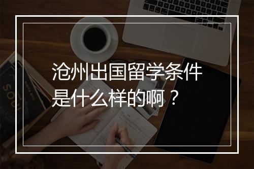 沧州出国留学条件是什么样的啊？