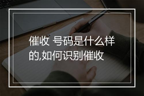 催收 号码是什么样的,如何识别催收