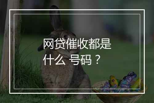 网贷催收都是什么 号码？