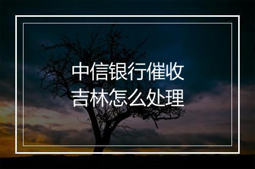 中信银行催收吉林怎么处理