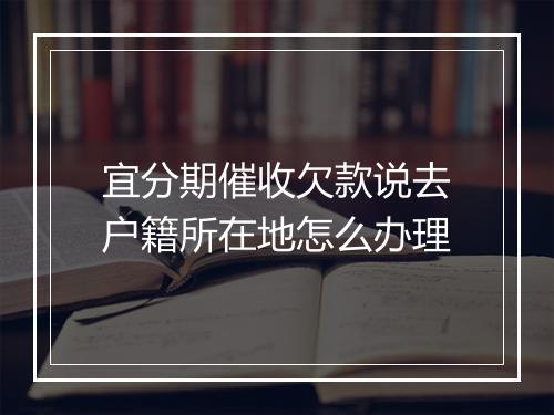 宜分期催收欠款说去户籍所在地怎么办理