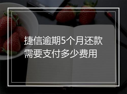 捷信逾期5个月还款需要支付多少费用