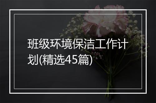 班级环境保洁工作计划(精选45篇)