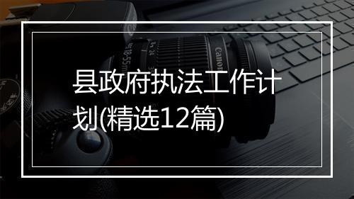 县政府执法工作计划(精选12篇)
