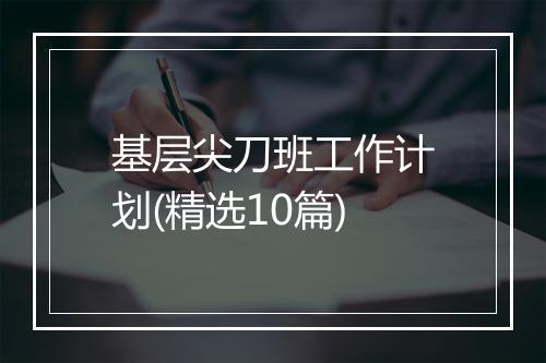 基层尖刀班工作计划(精选10篇)