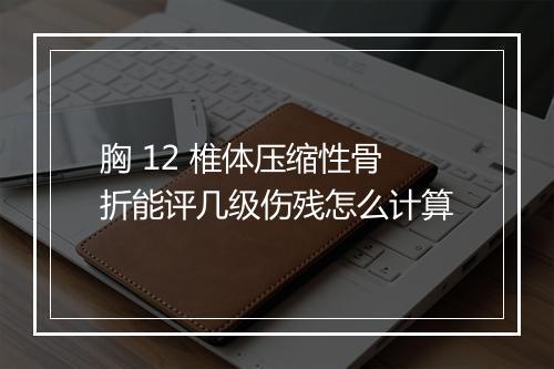 胸 12 椎体压缩性骨折能评几级伤残怎么计算