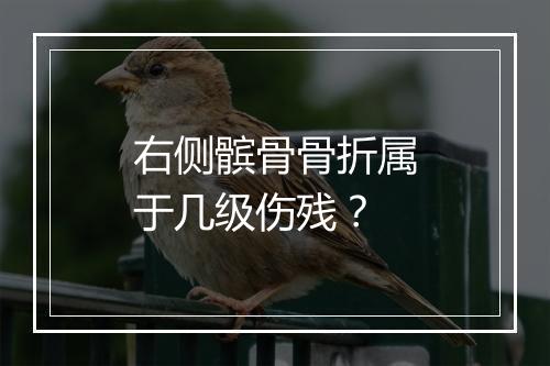 右侧髌骨骨折属于几级伤残？