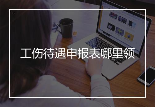 工伤待遇申报表哪里领