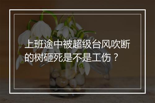 上班途中被超级台风吹断的树砸死是不是工伤？