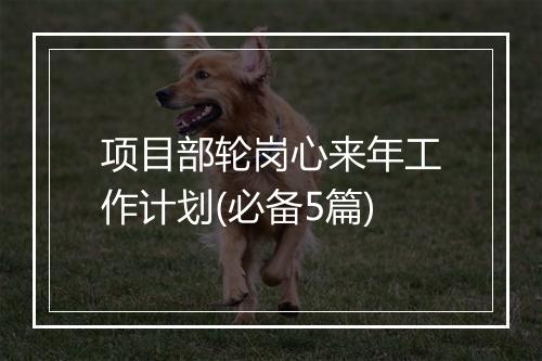项目部轮岗心来年工作计划(必备5篇)