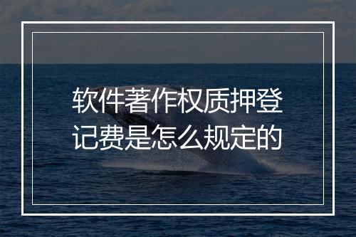 软件著作权质押登记费是怎么规定的