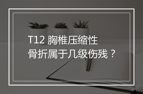 T12 胸椎压缩性骨折属于几级伤残？