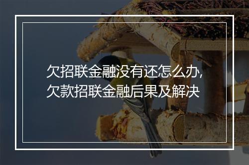 欠招联金融没有还怎么办,欠款招联金融后果及解决