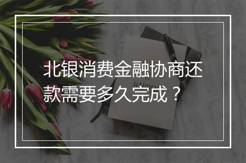 北银消费金融协商还款需要多久完成？