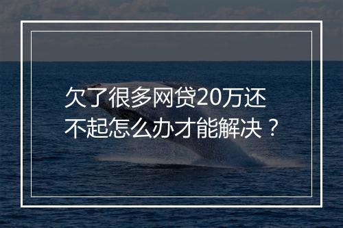 欠了很多网贷20万还不起怎么办才能解决？