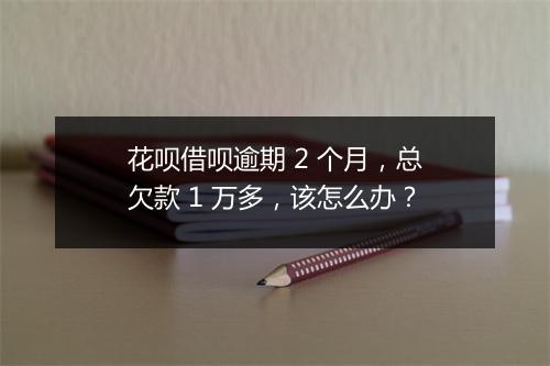 花呗借呗逾期 2 个月，总欠款 1 万多，该怎么办？
