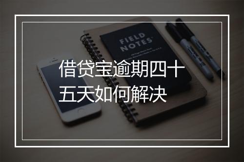 借贷宝逾期四十五天如何解决