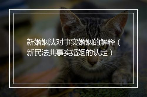 新婚姻法对事实婚姻的解释（新民法典事实婚姻的认定）