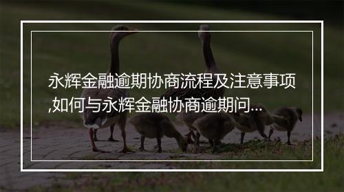 永辉金融逾期协商流程及注意事项,如何与永辉金融协商逾期问题