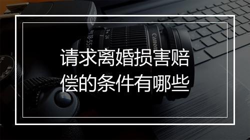 请求离婚损害赔偿的条件有哪些