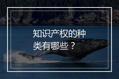 知识产权的种类有哪些？