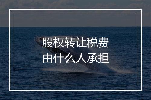 股权转让税费由什么人承担