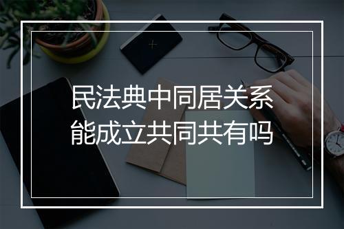 民法典中同居关系能成立共同共有吗