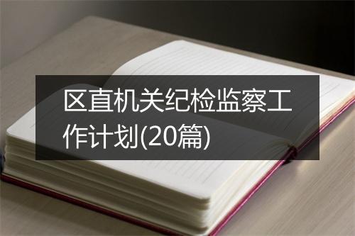 区直机关纪检监察工作计划(20篇)