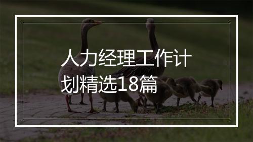 人力经理工作计划精选18篇