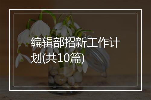 编辑部招新工作计划(共10篇)