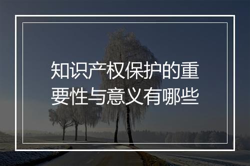 知识产权保护的重要性与意义有哪些