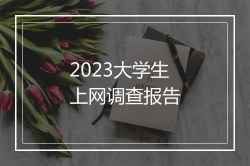 2023大学生上网调查报告