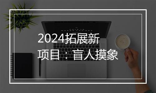 2024拓展新项目：盲人摸象