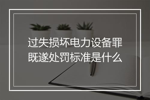 过失损坏电力设备罪既遂处罚标准是什么