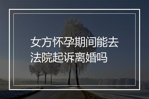 女方怀孕期间能去法院起诉离婚吗