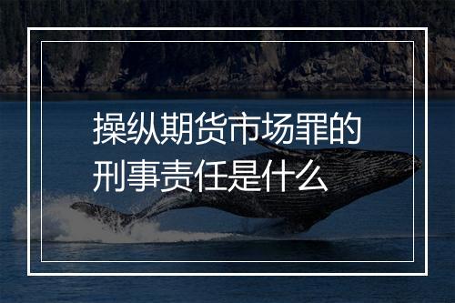 操纵期货市场罪的刑事责任是什么
