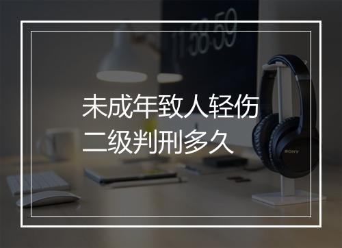 未成年致人轻伤二级判刑多久