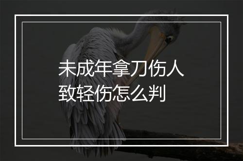 未成年拿刀伤人致轻伤怎么判