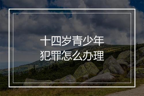 十四岁青少年犯罪怎么办理