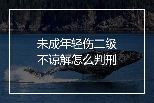 未成年轻伤二级不谅解怎么判刑