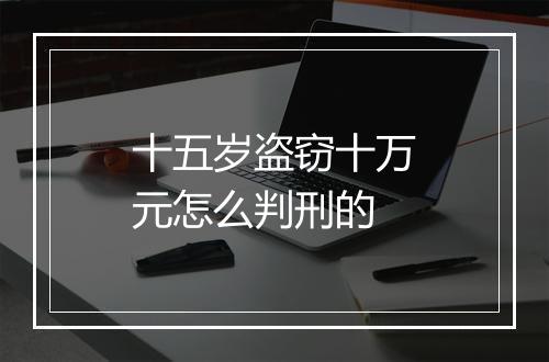 十五岁盗窃十万元怎么判刑的