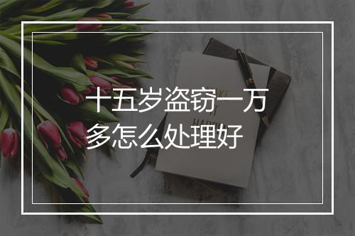 十五岁盗窃一万多怎么处理好