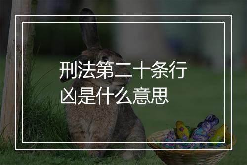 刑法第二十条行凶是什么意思
