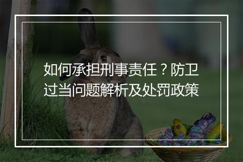 如何承担刑事责任？防卫过当问题解析及处罚政策