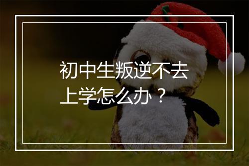 初中生叛逆不去上学怎么办？